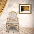 thumbnail image 3 of Hausenflock, Alan 14x11 Gold Ornate Wood Framed with Double Matting Museum Art Print Titled - Peaceful Patio I, 3 of 4
