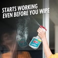 thumbnail image 6 of Windex with Vinegar Glass, Window, Mirror, and Glass Stove Top Cleaner, Spray Bottle, 32 fl oz, 6 of 13