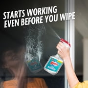 Windex with Vinegar Glass, Window, Mirror, and Glass Stove Top Cleaner, Spray Bottle, 32 fl oz
