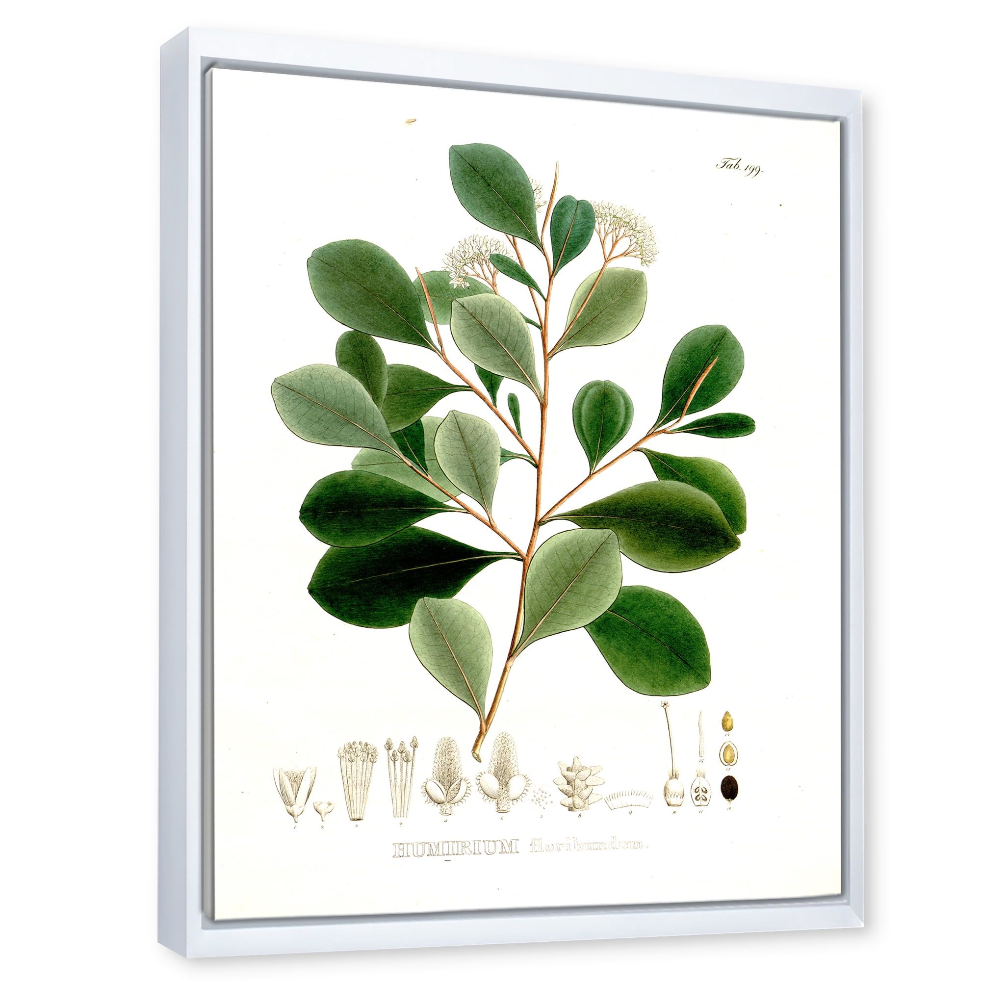 Designart 'Ancient Botanicals IV' Traditional Framed Canvas Wall Art Print