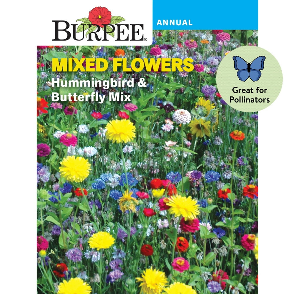 Burpee Hummingbird & Butterfly Mix Mixed Flower Seed, 1-Pack - Walmart ...