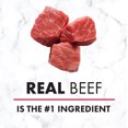 thumbnail image 4 of Nutro Grain Free Tender Beef Paté Adult Wet Dog Food, 4 of 6