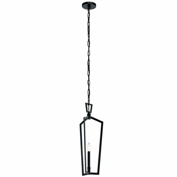 1 Light Farmhouse Caged Foyer Pendant Light Fixture-Black Finish Bailey Street Home 147-Bel-3087058
