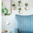 thumbnail image 4 of tredstone 4Pieces Wall Mounted Fish Bowl Flower Tank Pot Fish Decor Glass Vase Plant, 4 of 6