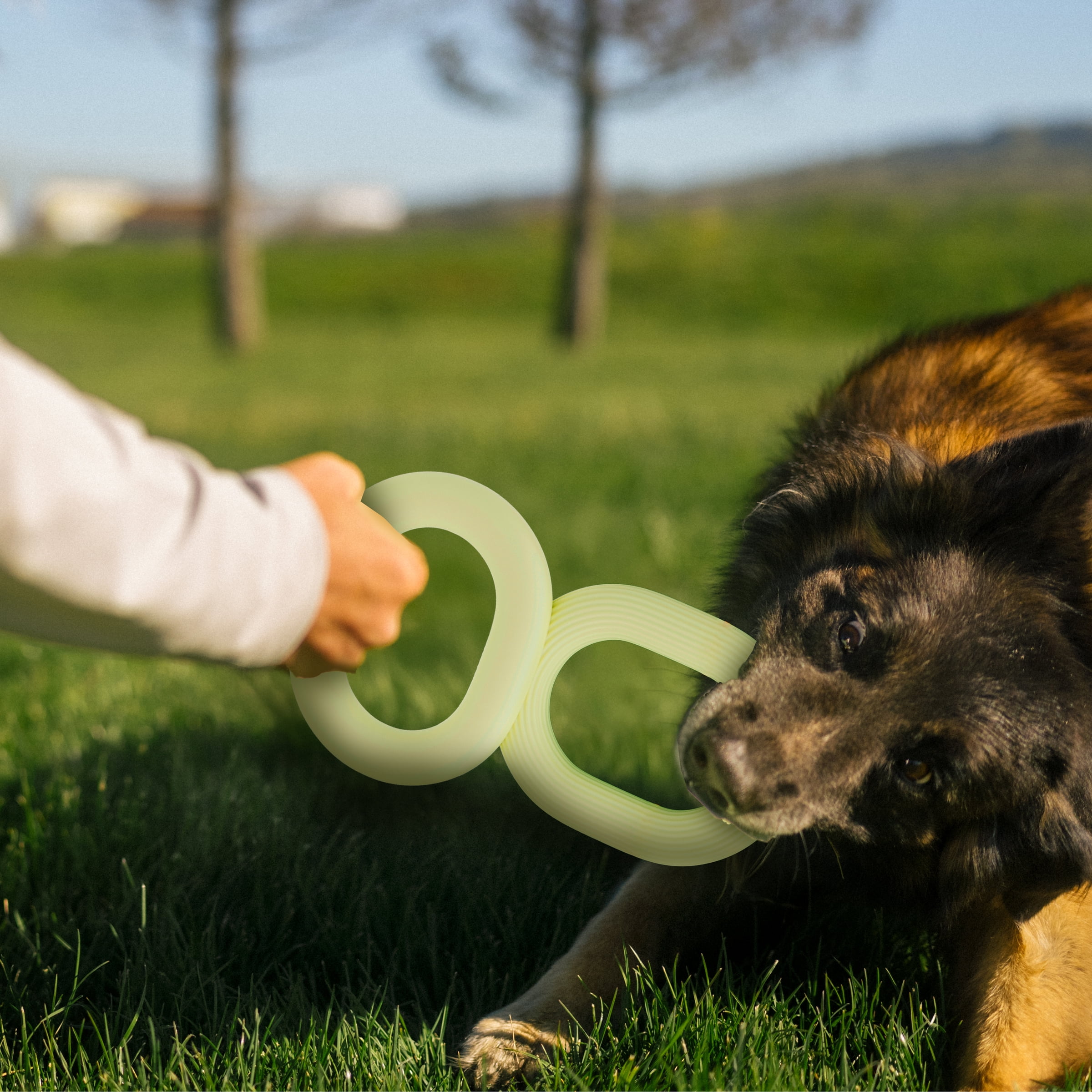 Earth Rated Tugger Dog Toy, Tug of War, Interactive Pull Toy for Dogs