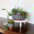 thumbnail image 6 of The HC Companies Capri Bowl Succulent Pot, Faux Concrete Copper (2 Pack), 6 of 7