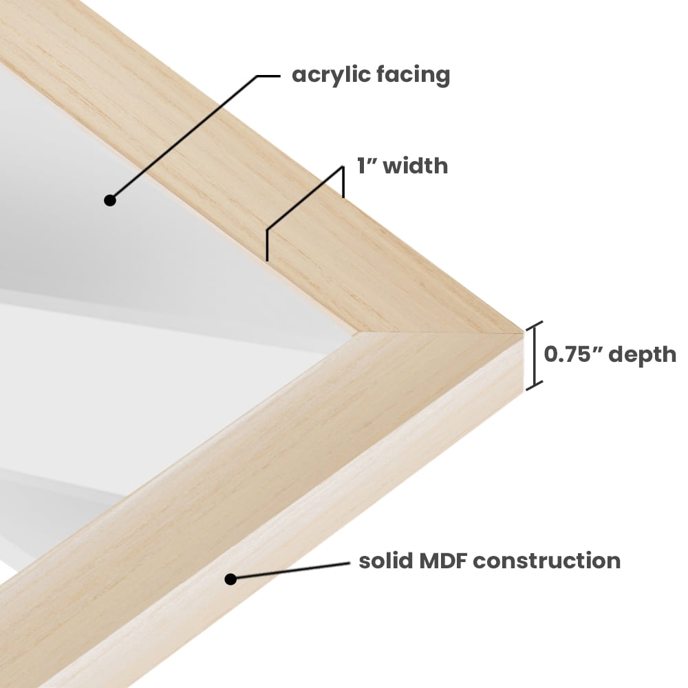 Craig Frames Contemporary, 16x20 Picture Frame, Natural