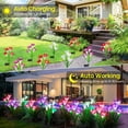 thumbnail image 3 of Outdoor Solar Lights, Hengu 1 Pack Solar Garden Lights with Lily Flowers, Waterproof 7 Color Changing Solar Lights Outdoor - Bigger Solar Panel for Outdoor Patio Yard Garden Decoration,White, 3 of 7