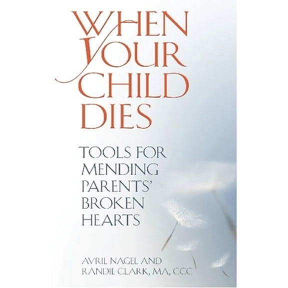 When Your Child Dies: Tools for Mending Parents' Broken Hearts (Paperback)
