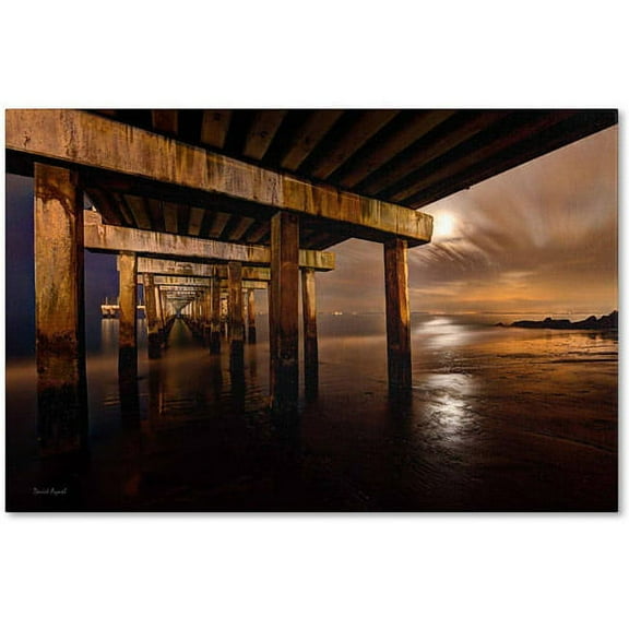 Trademark Fine Art "Coney Island - Brooklyn, NY II" Canvas Art by David Ayash