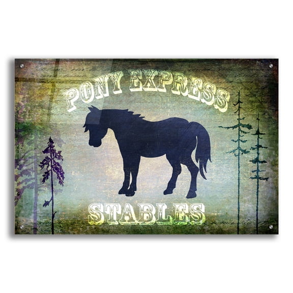 Epic Art 'Country Horse I' by Lightbox Journal, Acrylic Glass Wall Art, 36"x24"