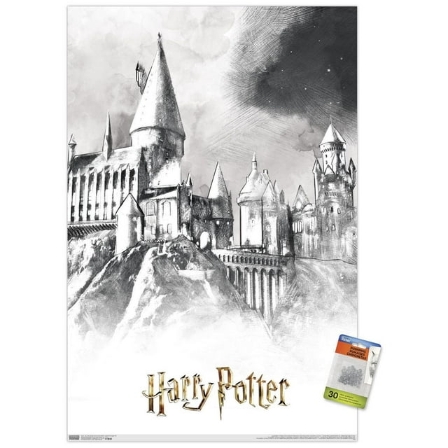 Le monde des sorciers : Harry Potter - Poudlard illustré
