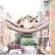 thumbnail image 5 of Ventana de percha para gatos, hamaca para ventana de gato, hamaca colgante suspendida para gatos, ventana de cama para gatos, funcionalidad de alta precisión, 5 of 8