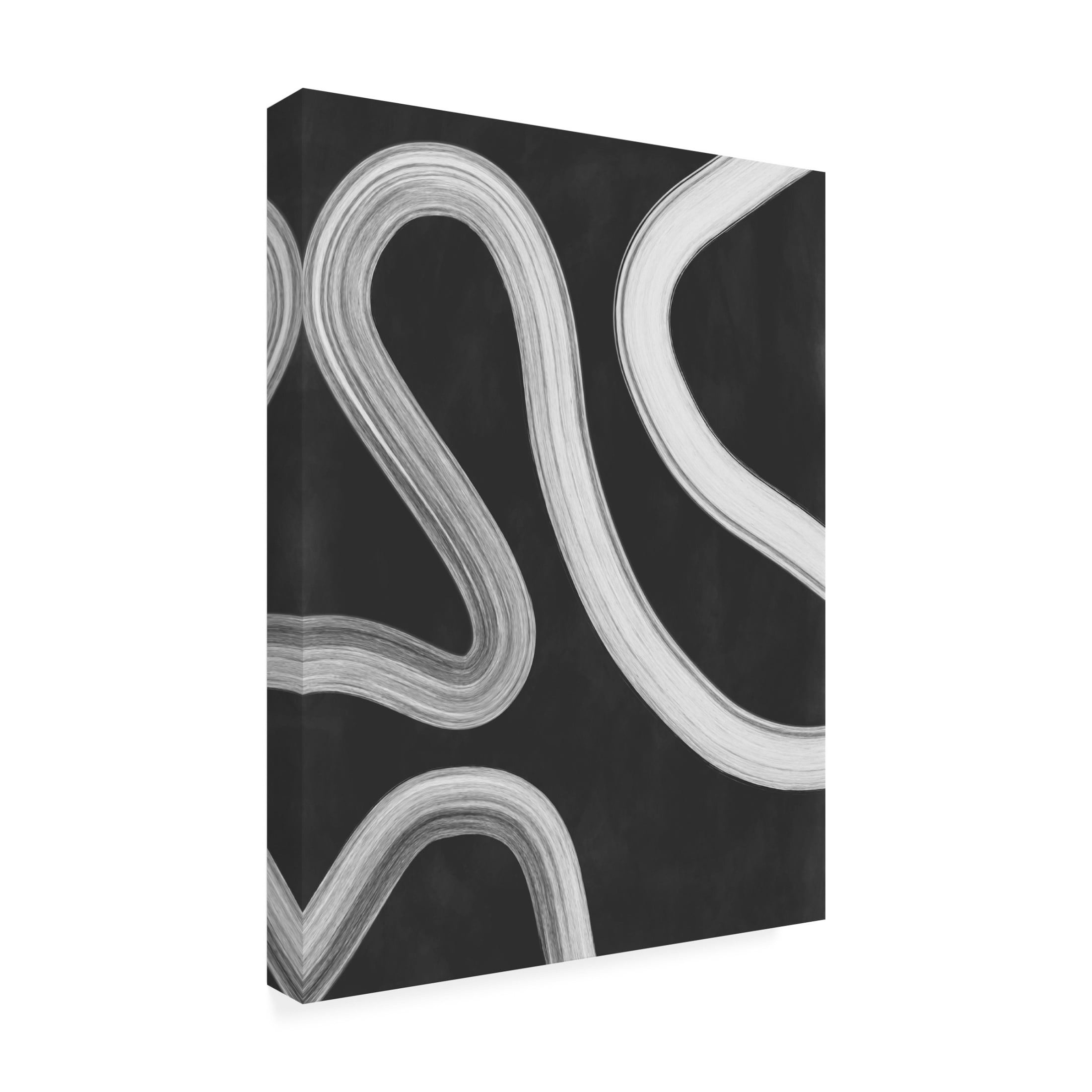 Trademark Fine Art Elena Ristova  blackawhite43 Canvas Wall Art
