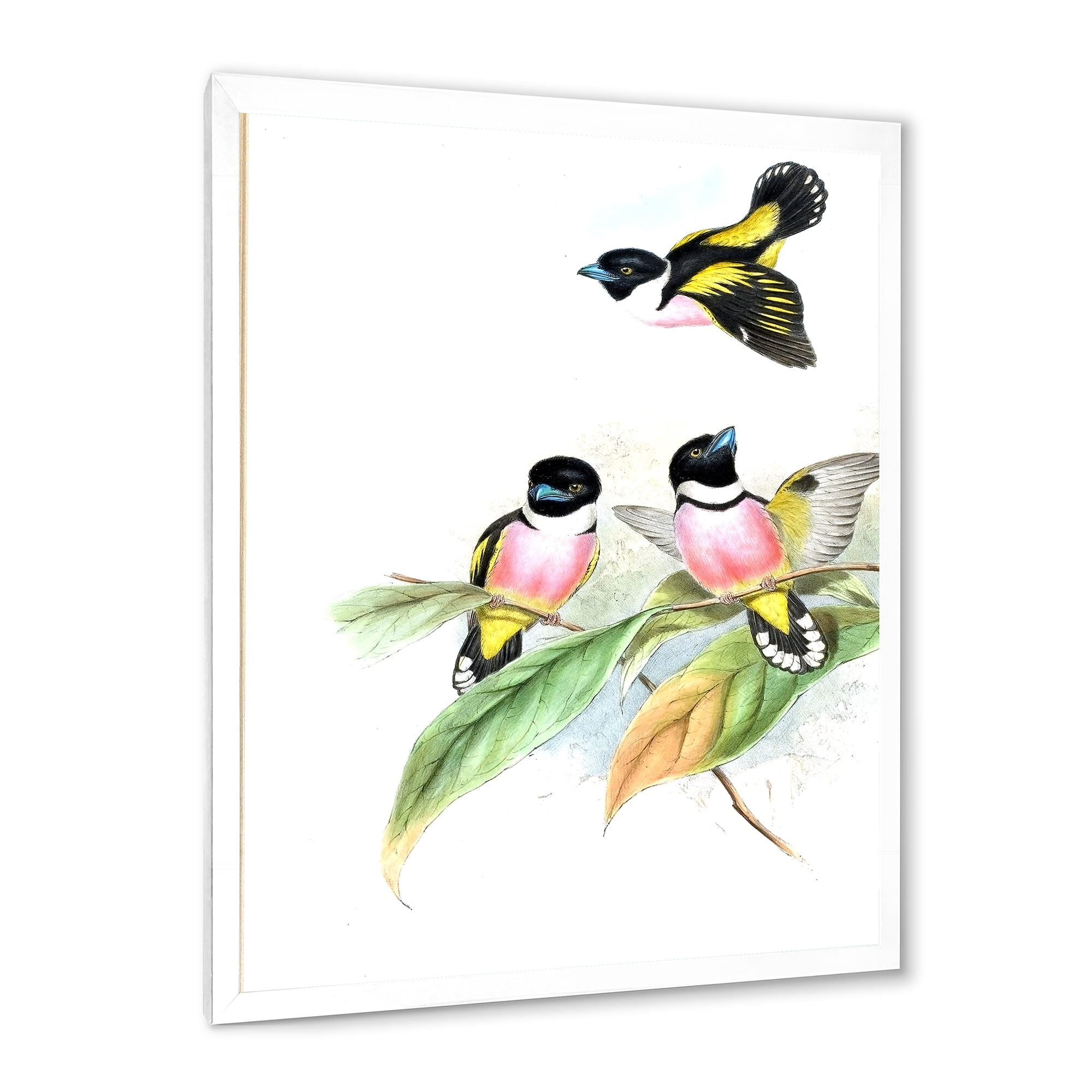 Designart 'Ancient Birds III' Traditional Framed Art Print