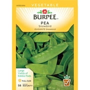 Burpee-Pea, Snowbird Seed Packet