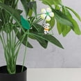 thumbnail image 3 of KQJQS Outdoor Garden Stake Decor for Potted Plants, Flower Beds, and Lawns, 3 of 3