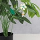 thumbnail image 3 of Piquetas metálicas para jardín con luces solares • Decoración floral exterior en pack de 4 • Metal resistente a la intemperie y tela no tejida • Instalación fácil de enchufes para jardín y patio, 3 of 3