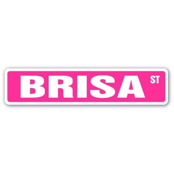 4 x 18 in. Childrens Name Room Street Sign - Brisa
