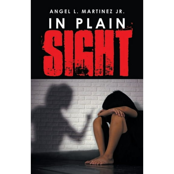 In Plain Sight (Paperback)