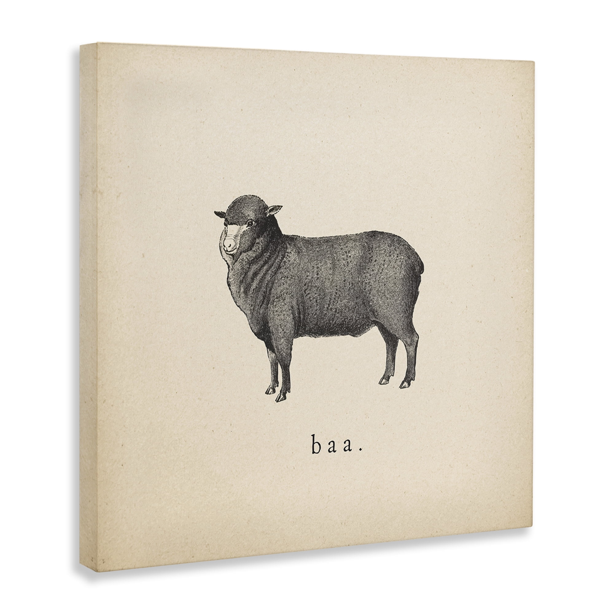 Stupell Industries Baa Farm Sheep Sounds Animals Painting Wrapped Canvas Art Print Wall Art, 36 x 36