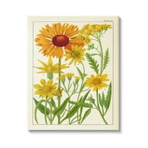 Stupell Industries Yellow Flower Studies Botanical & Floral Painting Gallery Wrapped Canvas Print Wall Art, 24 x 30