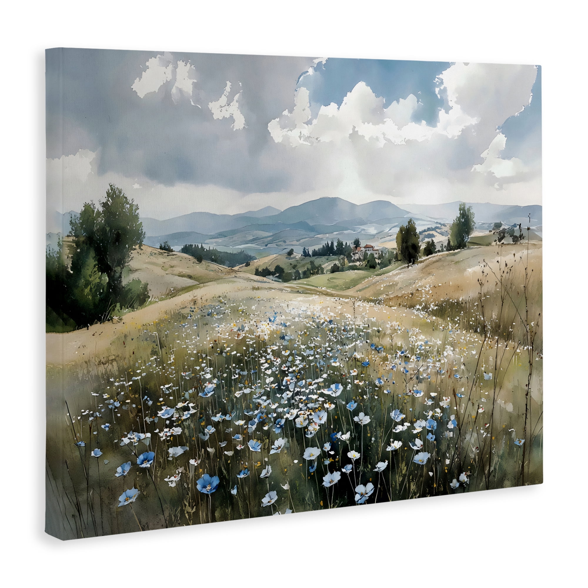 Stupell Industries Poppy Blues Across Meadow Canvas Wall Art, design by Franklyn Gregory