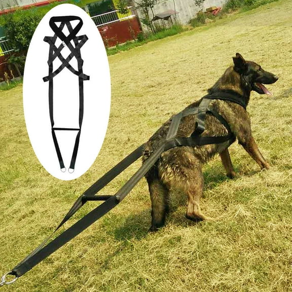 Dog Sled Weight Pulling Training Harnesses for Large Dogs Behaviors Training, Dog Pulling Sledding Harnesses for Weight Pulling,Canicross,Ski-Joring