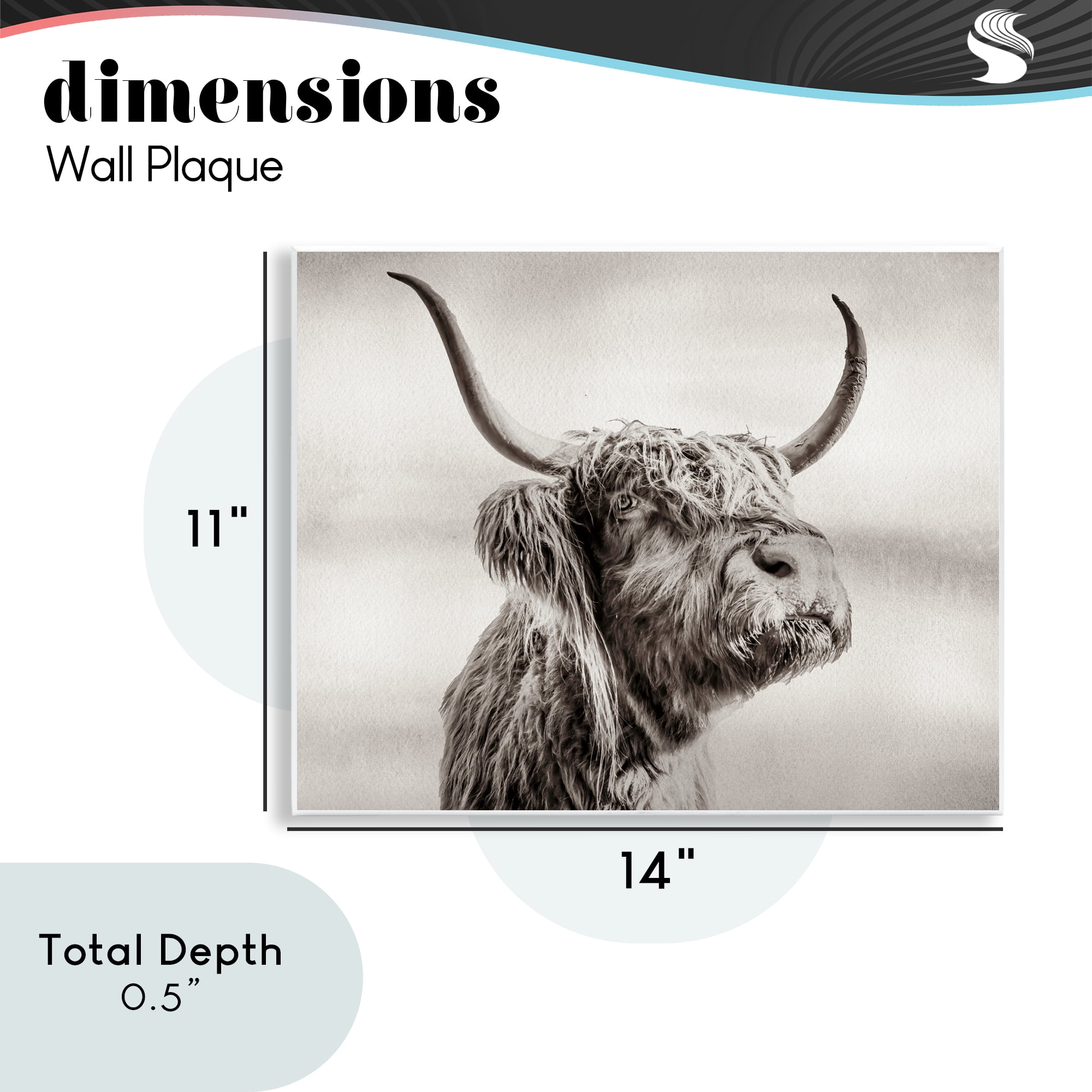 Stupell Industries Horned Highland Cow Gazing Wall Plaque Art, design by Julia Frost