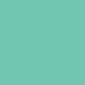 9 x 9, Mint