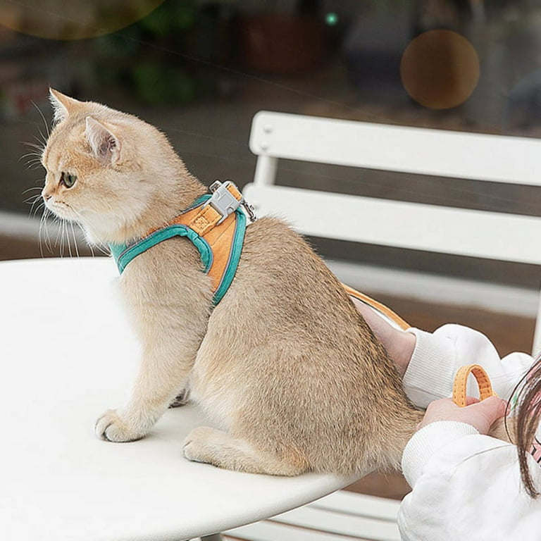 Pets at home kitten harness 2025