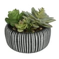 thumbnail image 5 of Better Homes & Gardens 4.72" H Artificial Succulent Plant in Stone Pot, Multi-Color, 5 of 6