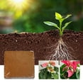 Zawou Home And Garden Outdoor Equipment,Plant Coir Fiber Bricks Plant