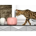 thumbnail image 5 of Pet Life ® 'Moda-Pure' Ultra-Quite Filtered Dog and Cat Fountain Waterer, 5 of 5