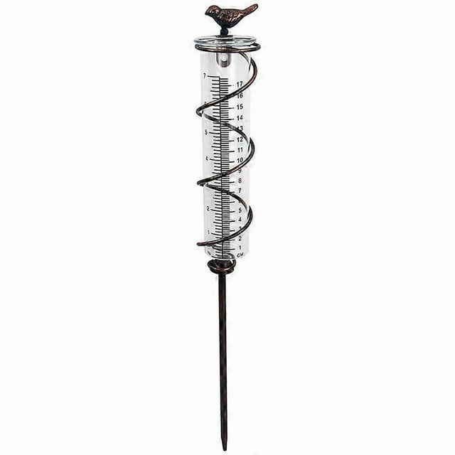Capacity Glass Spiral Rain Gauge,Cast Iron Bird Hanging Rain Gauge