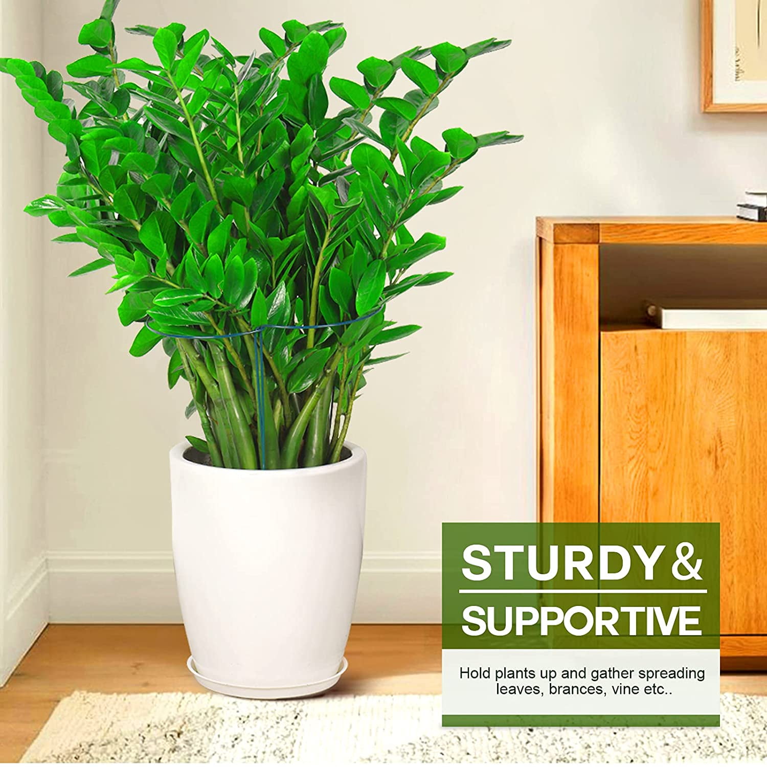 Plant Support Stakes, 6 PCS Peony Cages and Supports, Plant Stakes for Indoor Plants, Outdoor Plants, Monstera Tomato Hydrangea Support Cage, 10" W x 15.8" H