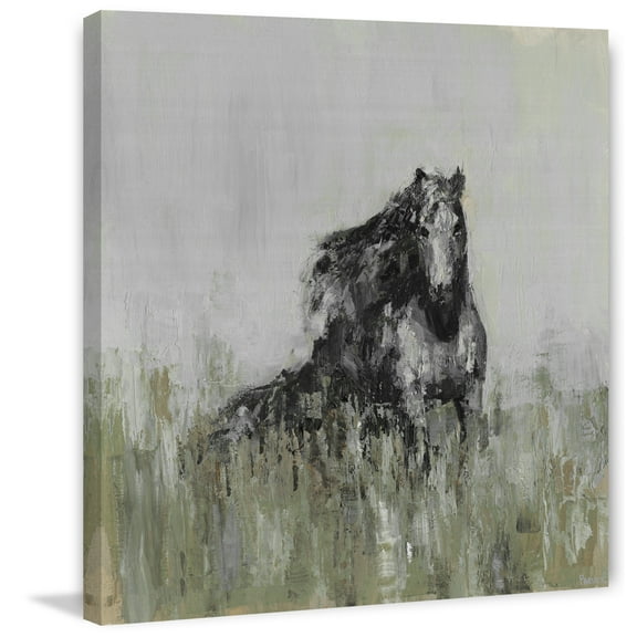 Parvez Taj Dark Horse at the Meadow Canvas Wall Art