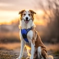 thumbnail image 3 of Pigo Dog Harness No Pull Pet Harness with 2 Leash Clips, Adjustable Soft Padded Dog Vest, No Choke Reflective Outdoor Pet Oxford Vest with Easy Control Handle for Large Dogs, Dazzling Blue, 3 of 11