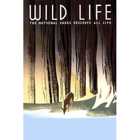 Wild life The national parks preserve all life Poster for National Park Service showing a deer drinking from a stream in the forest   NYC  NYC Art Project Works Projects Administration [between 1936
