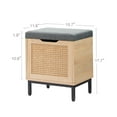 thumbnail image 2 of Natural Rattan 16in Storage Chest, Storage Bench Organizer for Entryway, Rectangular Bench Storage Rack with Foam Pad Seating Cushion for Bedroom, Living Room, Dorm, Hallway (16 Inches), 2 of 9
