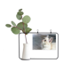 thumbnail image 1 of White pet cat animal perfil linda mirada Marco De Metal Florero De Cerámica Decoración, 1 of 4