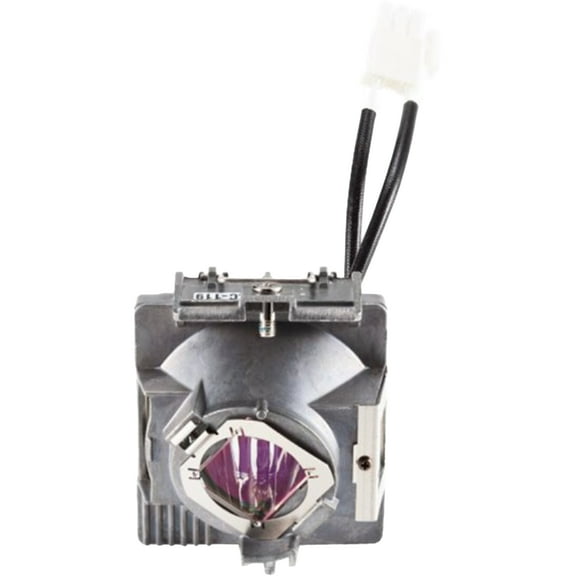 Advanced Lamps™ Lamp & Housing for The Viewsonic PX701HD Projector - 1 Unit per pack