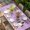 Purple, variant on Grey Easter Table Cloths for 4 Foot Rectangle Tables, Spring Cartoon Bunny Colorful Eggs Wood Grain Patio Waterproof Elastic Fitted Tablecloths, Washable Rectangular Table Cover for Camping