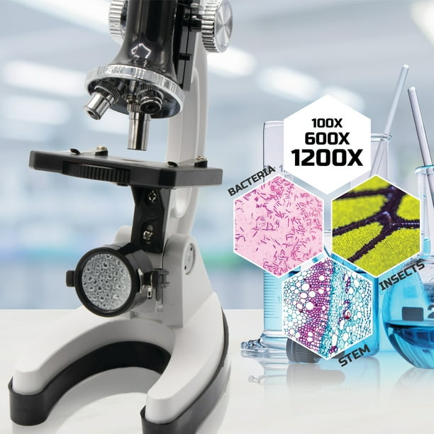 ★特選五石★計2.8kg超【クリスタルルーム♢浄化MAX♢スペシャルセット】❤️ Discovery #MINDBLOWN Science Sets for Montessori Schools - Walmart
