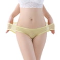 thumbnail image 2 of 2PC Womens Bikini Briefs Underwear Pack Low Waist Sheer Mesh Cute Seamless Panties Saving on Clearance, 2 of 8