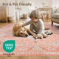 thumbnail image 4 of ODIKA 6'x9' Washable Area Rug Peach Medallion Distressed Vintage Scroll Diamond Motif Border for Family Room, Living Room, Master Bedroom, Non-Slip, Easy Care, 4 of 7