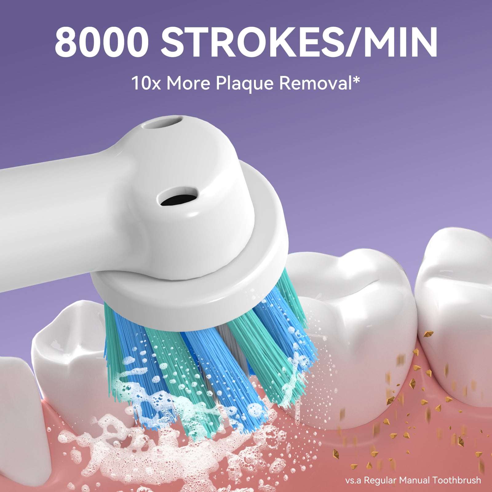 SEAGO Rotating Electric Toothbrush for adult, 8 Brush Heads,  5 Cleaning Modes, 2 Mins Timer, SG-2603 (White)