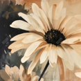 thumbnail image 3 of Delicate daisy - 36"x36" canvas - Print on demand, 3 of 5