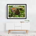 thumbnail image 6 of Monarch Butterfly on Daucus Carota - York Pennsylvania Photography Butterfly Insect Nature Wildlife Floral Garden Botanical Black Framed Wall Art Print 24 x 36 inches, 6 of 8