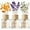 Lavender Osmanthus Orange&lemon 1.6oz, variant on UniVerse Binca Vidou Reed Diffuser Set, Lavender 1.69oz Osmanthus 1.69oz Orange&Lemon 1.69oz Scent Oil Diffusers with Sticks for Home Office Bathroom Aromatherapy Decor